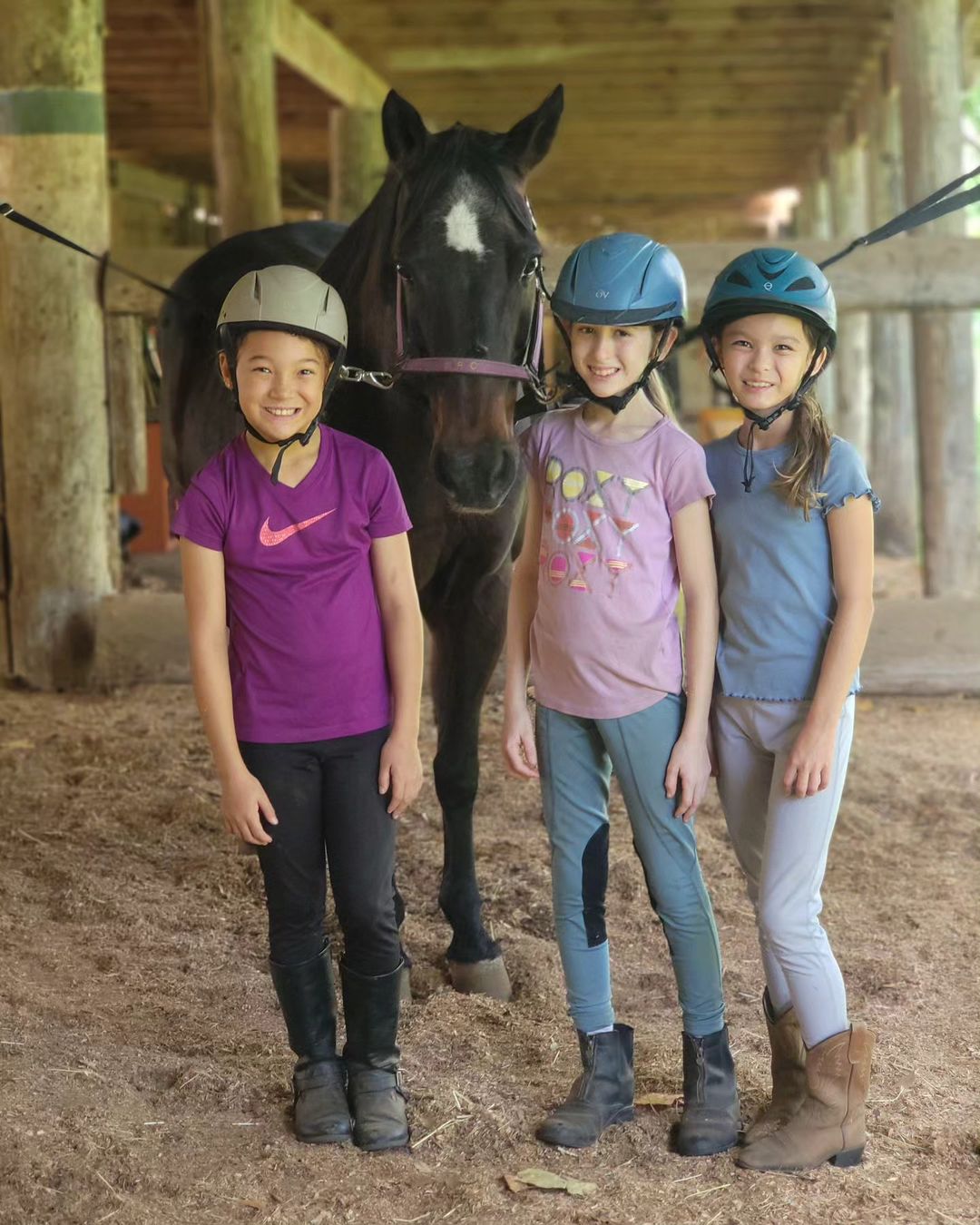 From Barn to Beyond: Developing Well-Rounded Equestrians at Aloha Riding Lessons