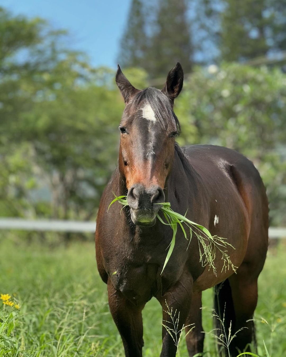 Black Friday Sale - 1/2 Price Extra Lessons!