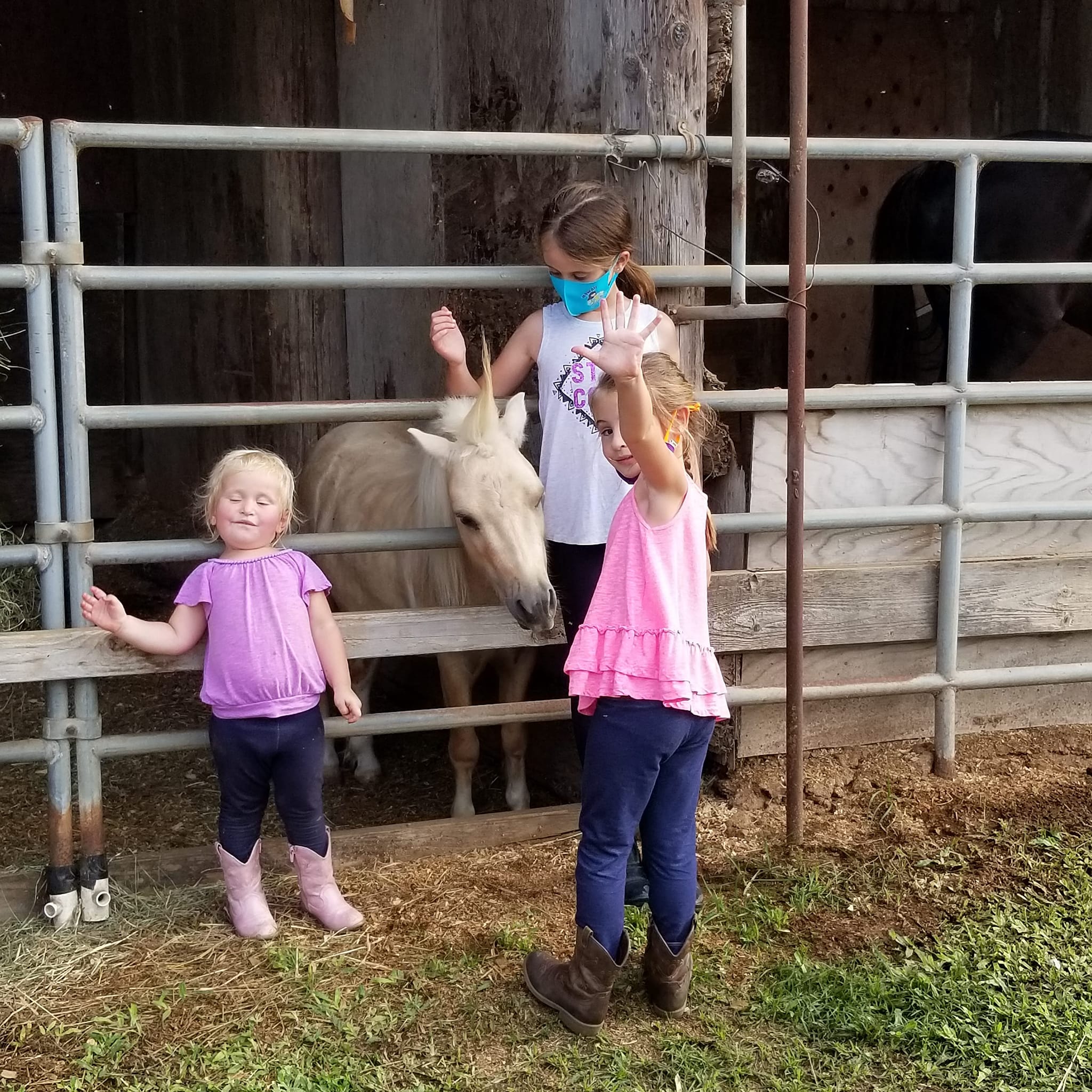 pink-shirt-girls-with-mini-horse.jpeg__PID:e90d4702-eea4-4dfc-a730-777eb12bdc8a