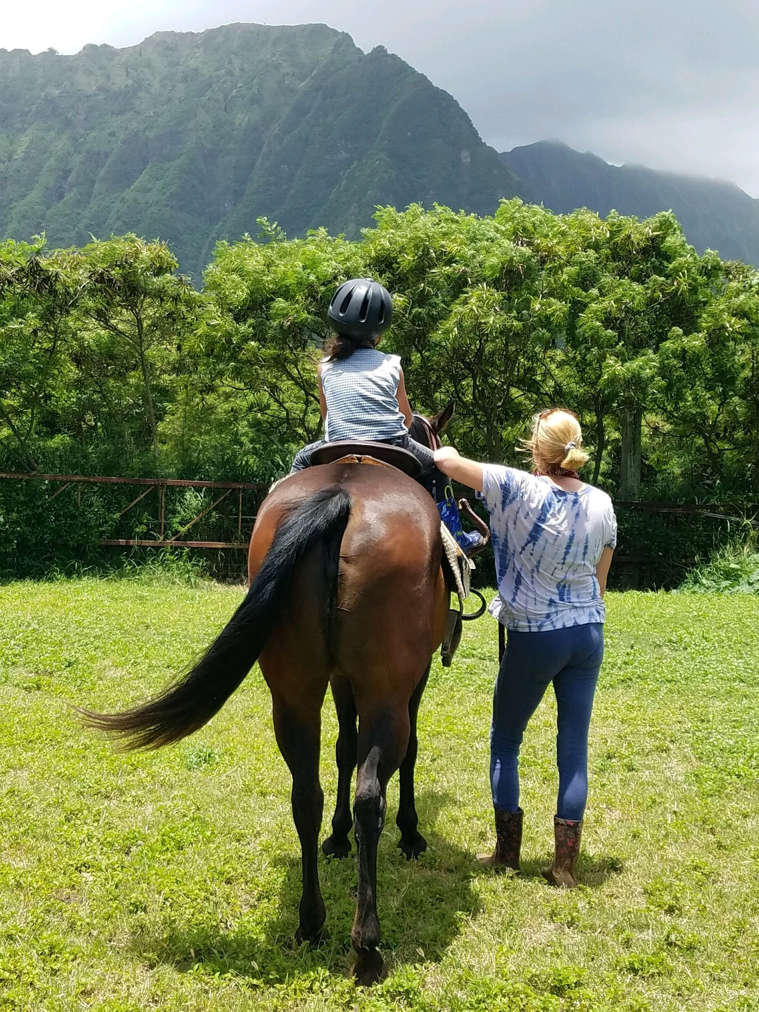 Horseback Riding Lessons in Honolulu, HI — Aloha Riding Lessons, Honolulu