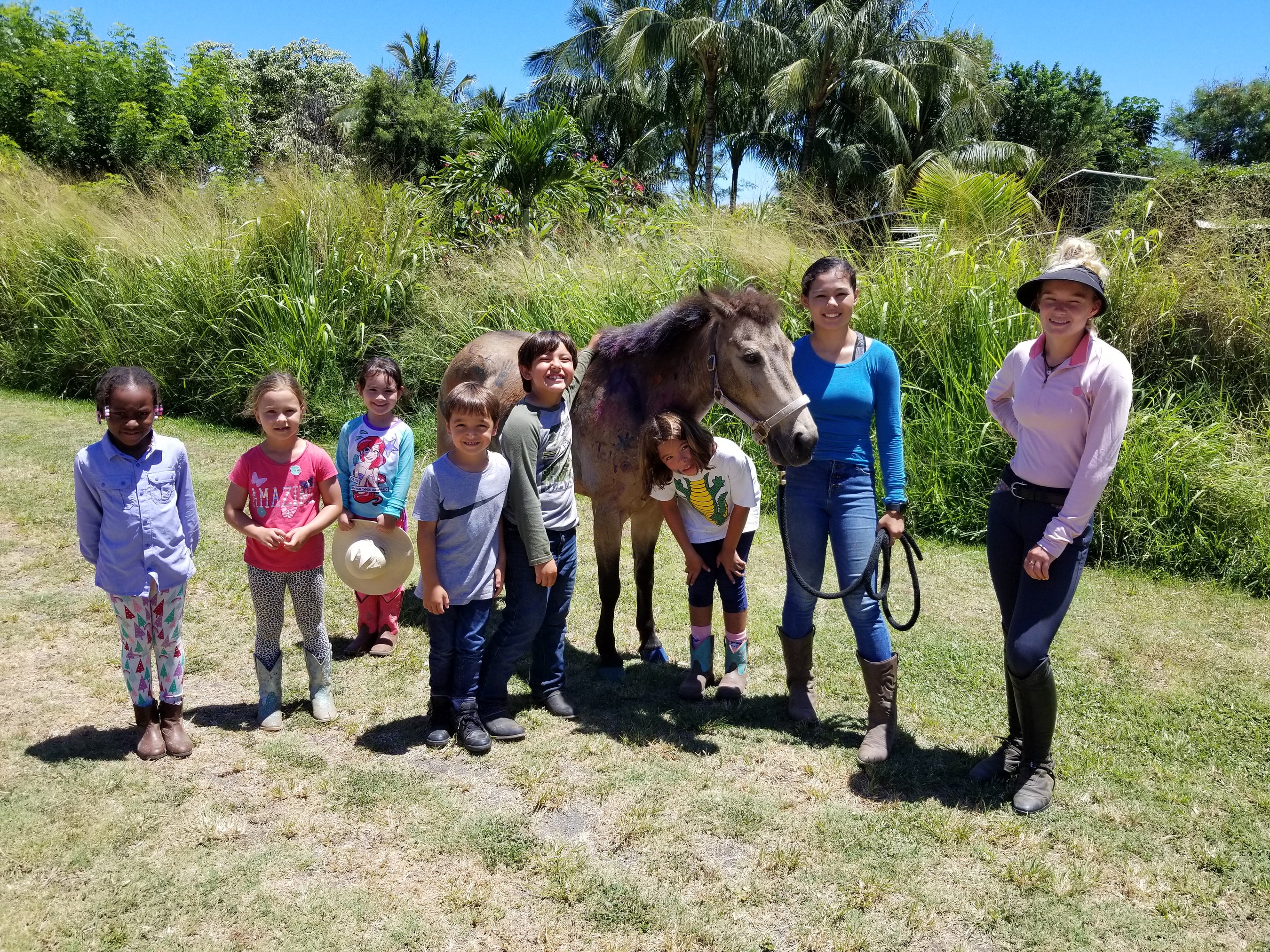 Horseback Riding Lessons in Honolulu, HI — Aloha Riding Lessons, Honolulu
