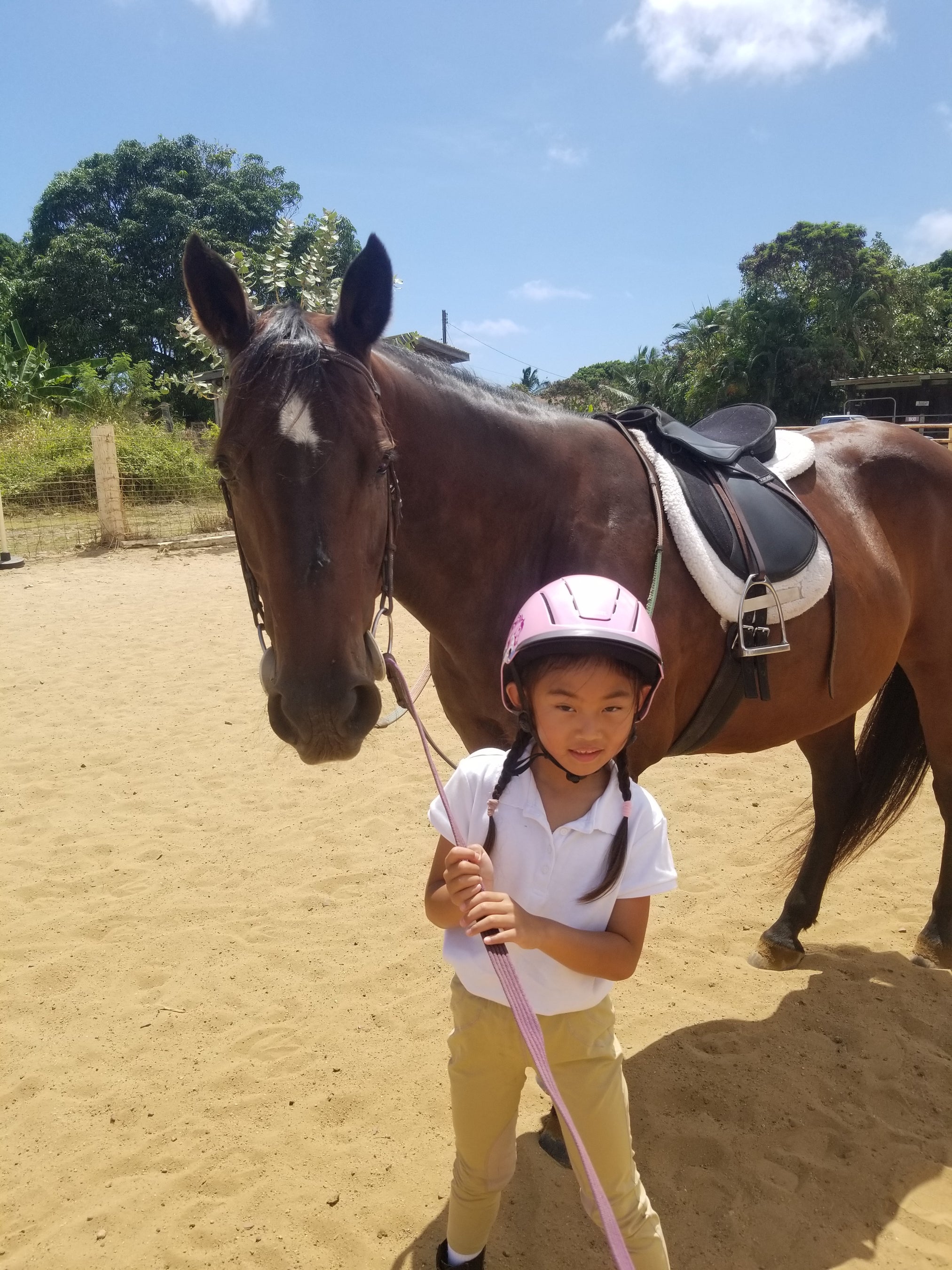 Horseback Riding Lessons in Honolulu, HI — Aloha Riding Lessons, Honolulu