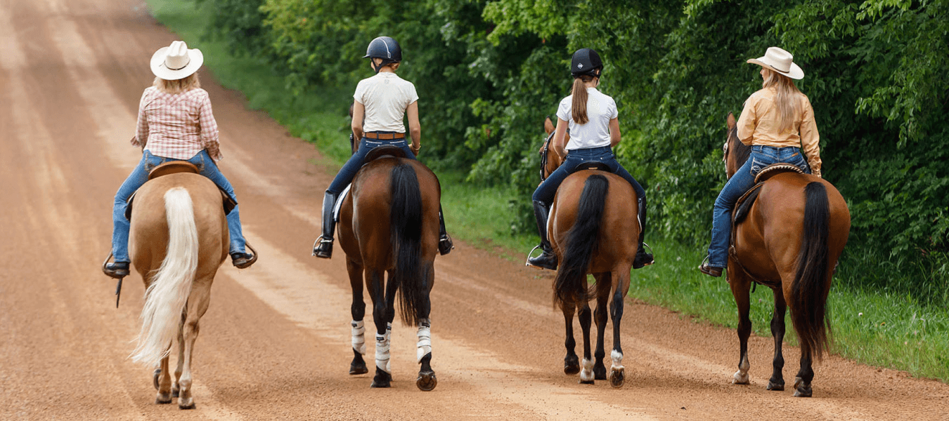 4-horses.png__PID:c00a092c-54d9-4b9c-b76d-ef12e641042a