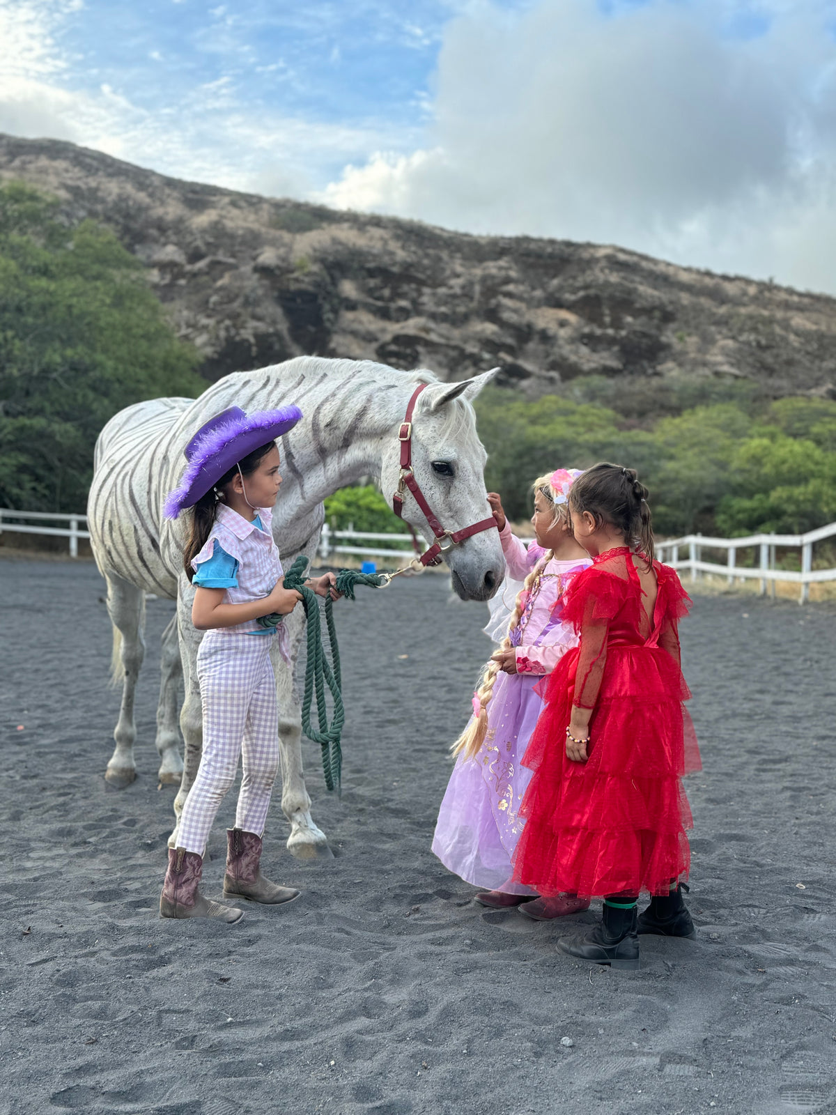Pony Parties (and a Unicorn, Too!) – Aloha Riding Lessons, Honolulu