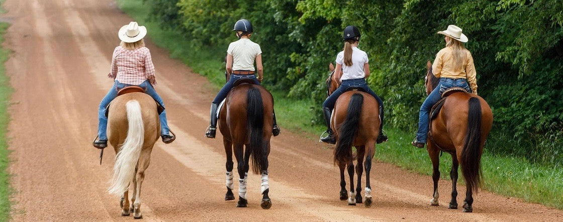 Horseback Riding Lessons in Honolulu, HI – Aloha Riding Lessons, Honolulu