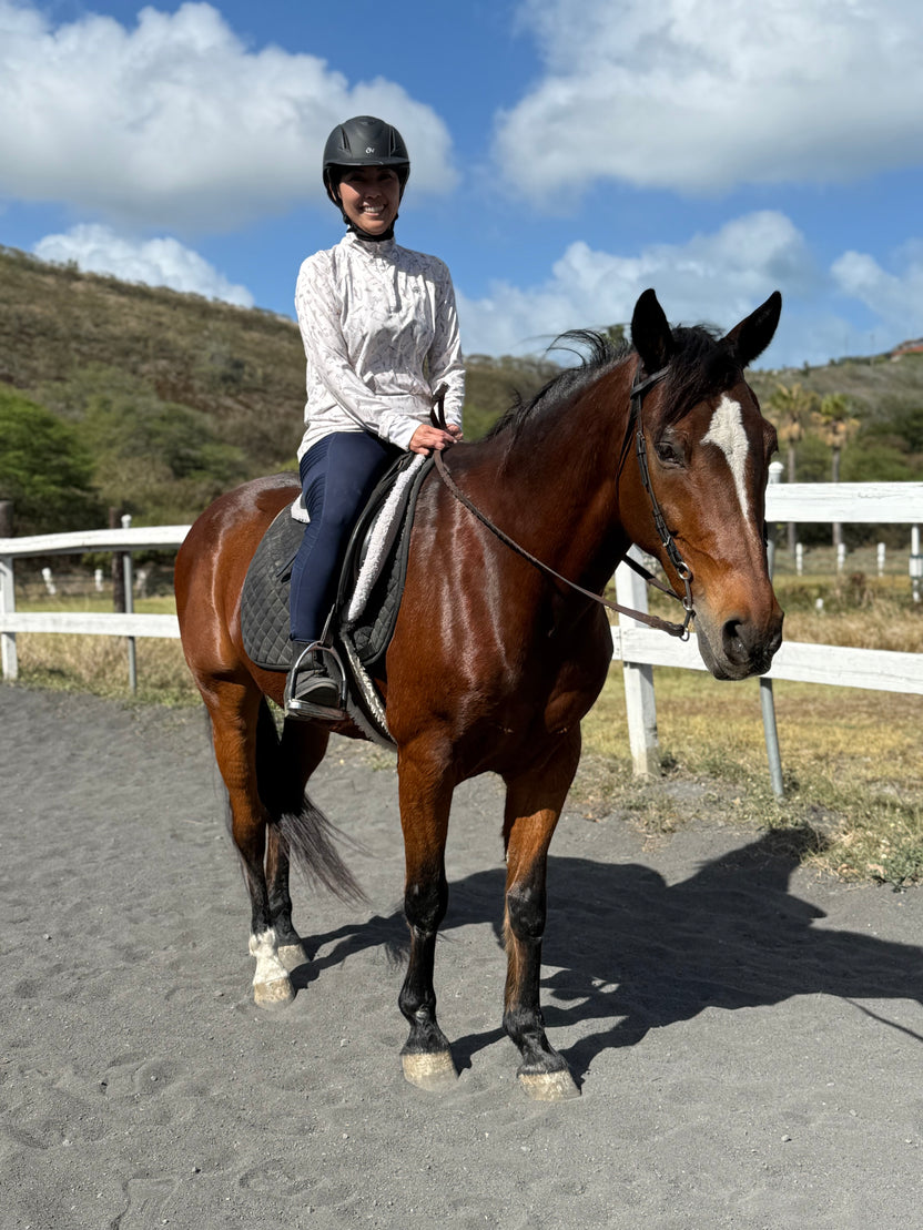 Horseback Riding Lessons in Honolulu, HI – Aloha Riding Lessons, Honolulu