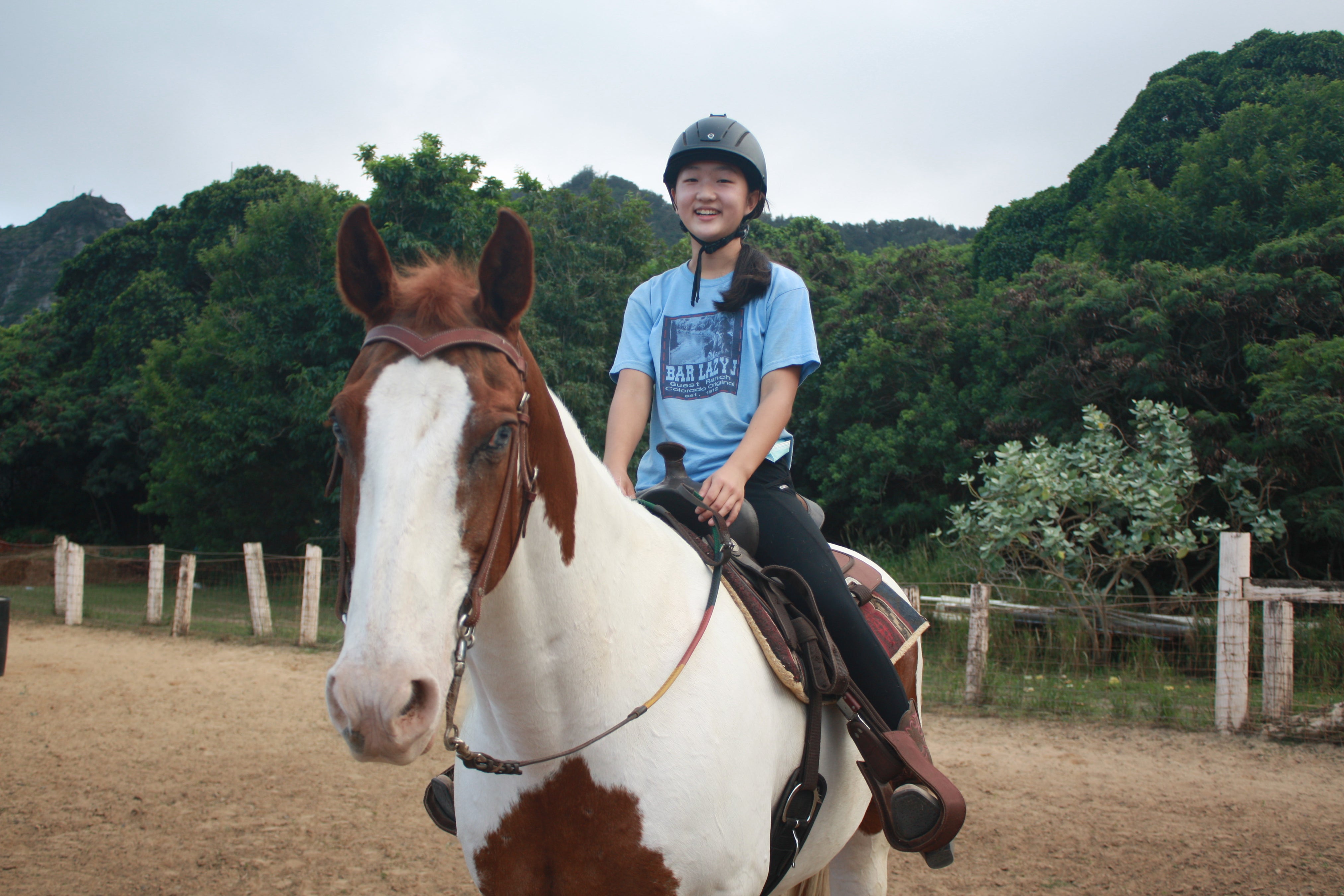 Horseback Riding Lessons in Honolulu, HI — Aloha Riding Lessons, Honolulu
