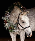 Aloha Riding Lessons, Honolulu Gift Cards