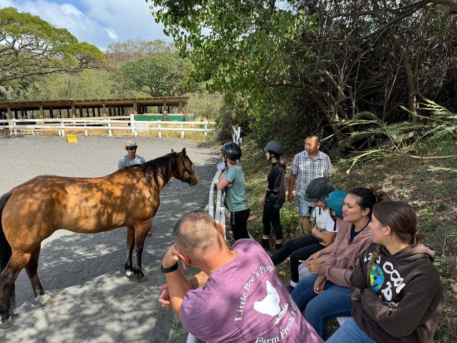 Open Stables and Horse Meet & Greet!