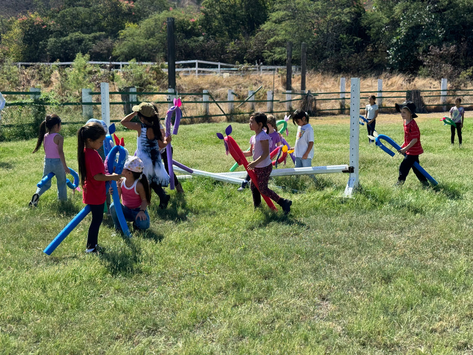 Pony Parties (and a Unicorn, Too!)