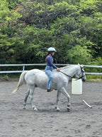 Introductory/Evaluation Lesson - Adults