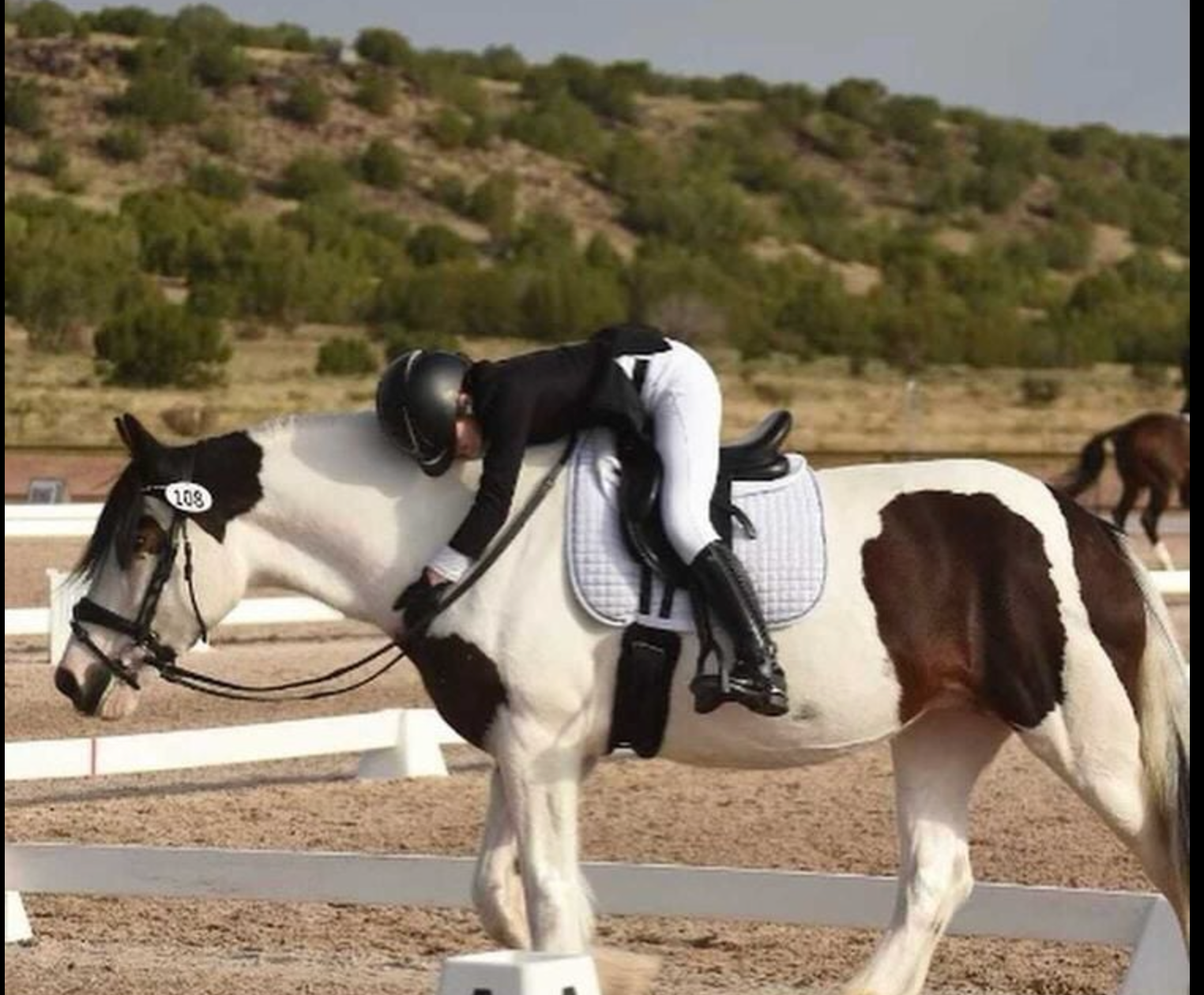 Black Friday Sale - 1/2 Price Extra Lessons!