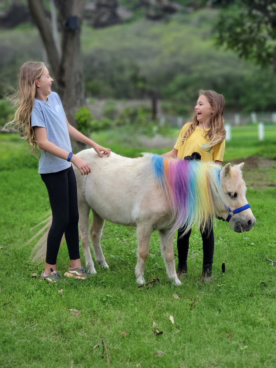Horseback Riding Lessons & Kids Camps in Hawaii Kai, Honolulu – Aloha ...
