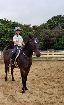 Horseback Riding Lessons & Kids Camps in Hawaii Kai, Honolulu – Aloha ...