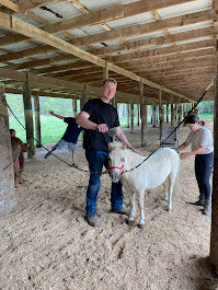 Mommy/Daddy & Me Classes