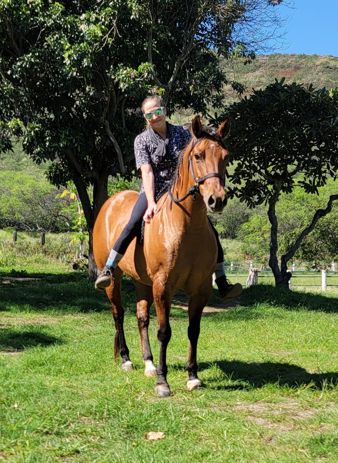 End of Summer, Sunset, Social, Soiree, & Ride – Aloha Riding Lessons ...