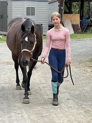 Horseback Riding Lessons in Honolulu, HI – Aloha Riding Lessons, Honolulu