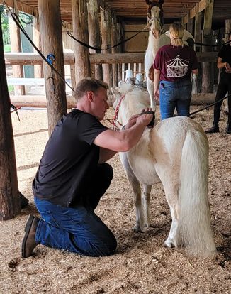 Mommy/Daddy & Me Classes