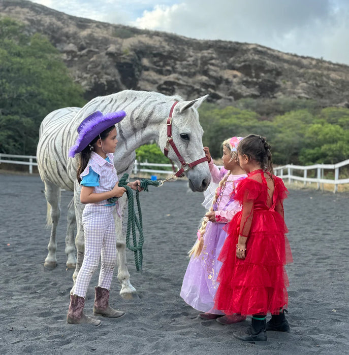 Open Stables and Horse Meet & Greet!