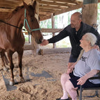 Sunset Soiree on Steeds - coming soon TBA new date