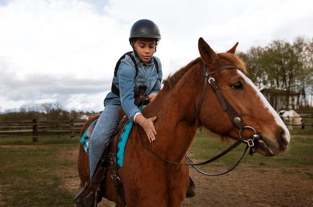 petting-chestnut-horse.png__PID:b7295a36-2c72-427a-9e43-f59ef0536d2b