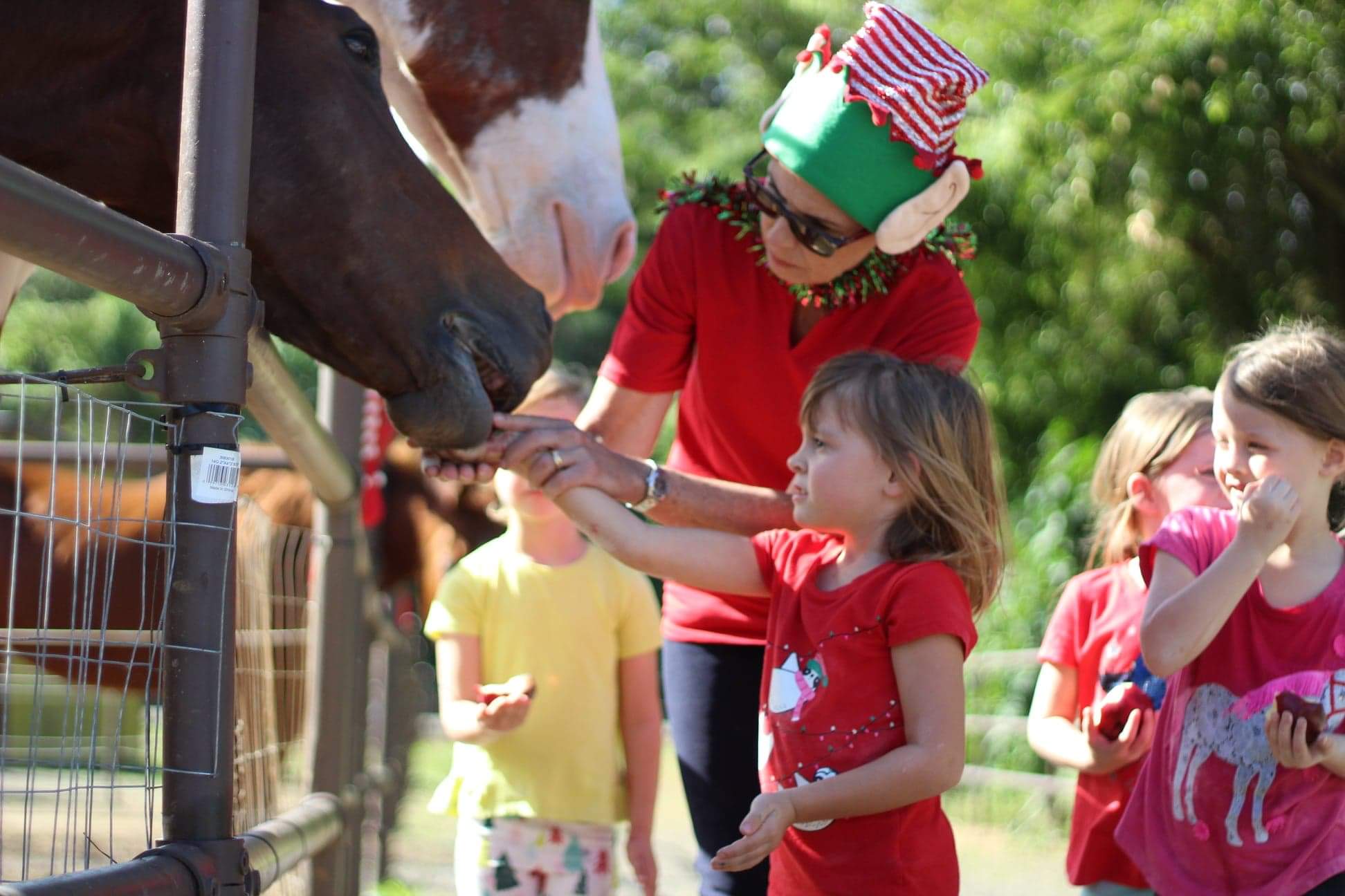 Winter Break Camp, December 22, 2025 - December 24, 2025