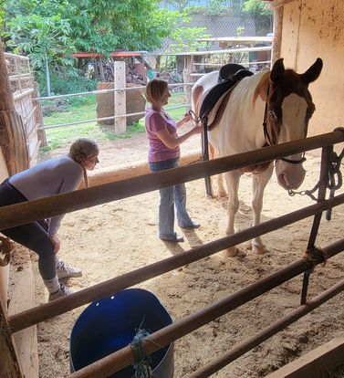 Introductory/Evaluation Lesson