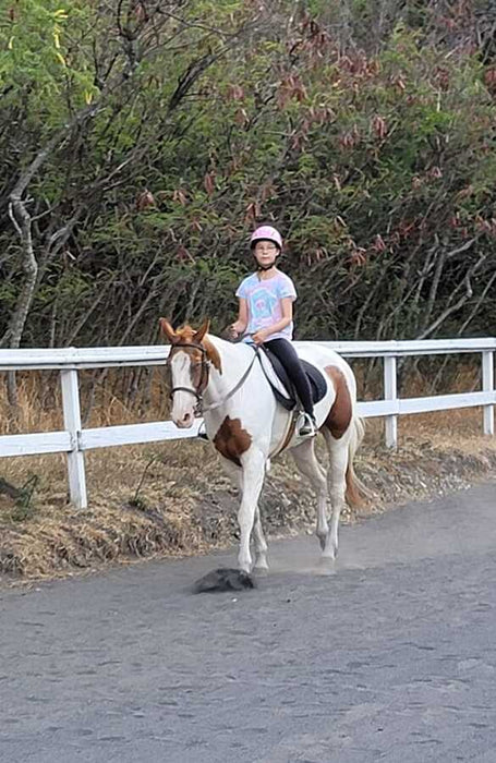 teen-horseback-riding-lesson-pinto.jpeg__PID:95a08e30-8d04-4cf1-9686-4e19d5825819