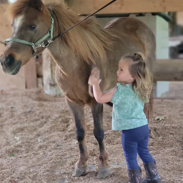 Ponies & Preschoolers